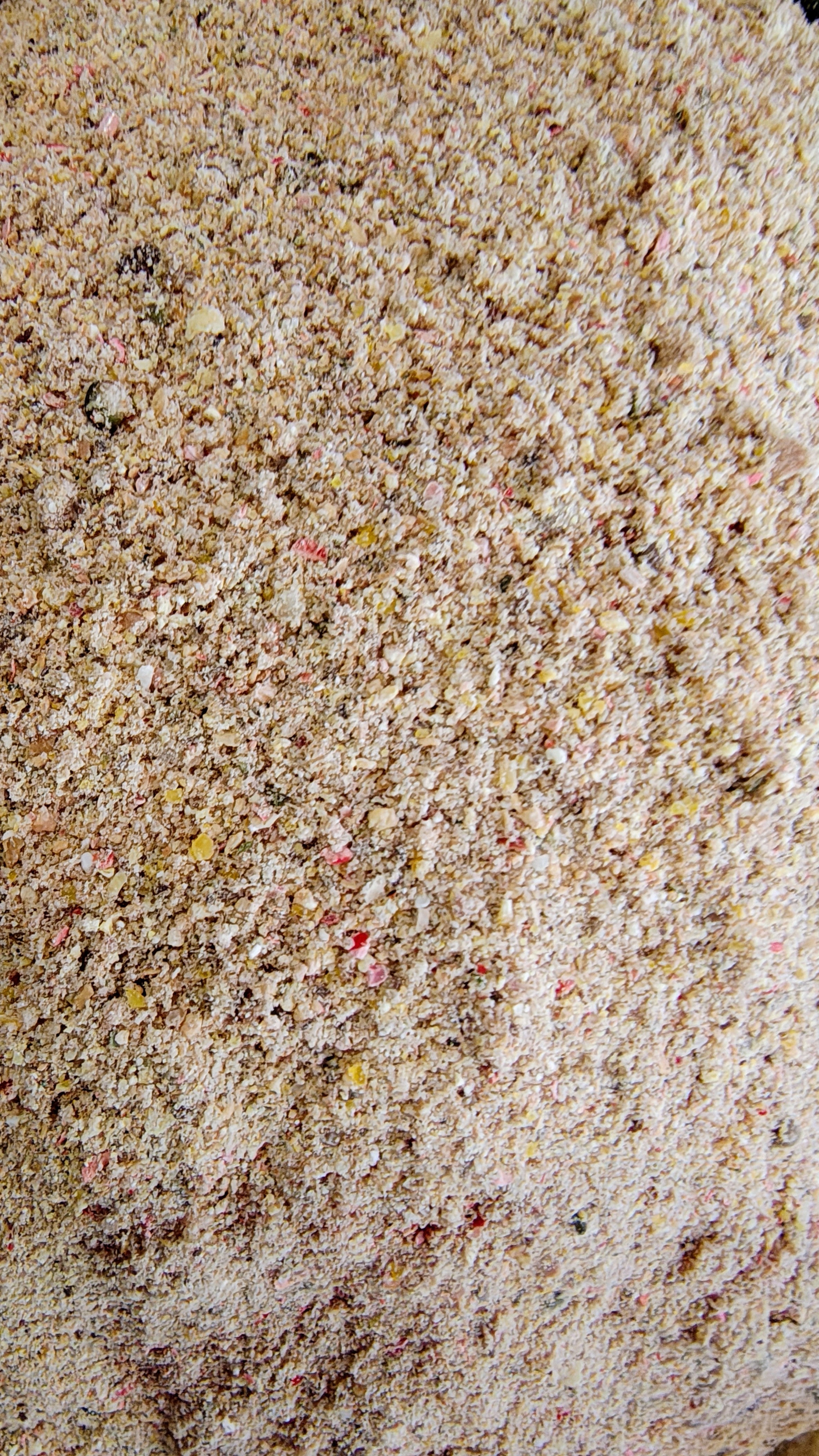 STICK MIX CARPE